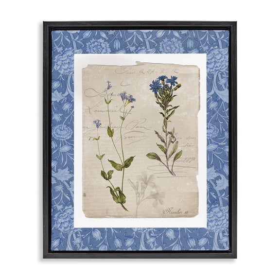 Stupell Industries Blue Vintage Botanicals Black Framed Floater Canvas Wall Art, design by Livi Finn