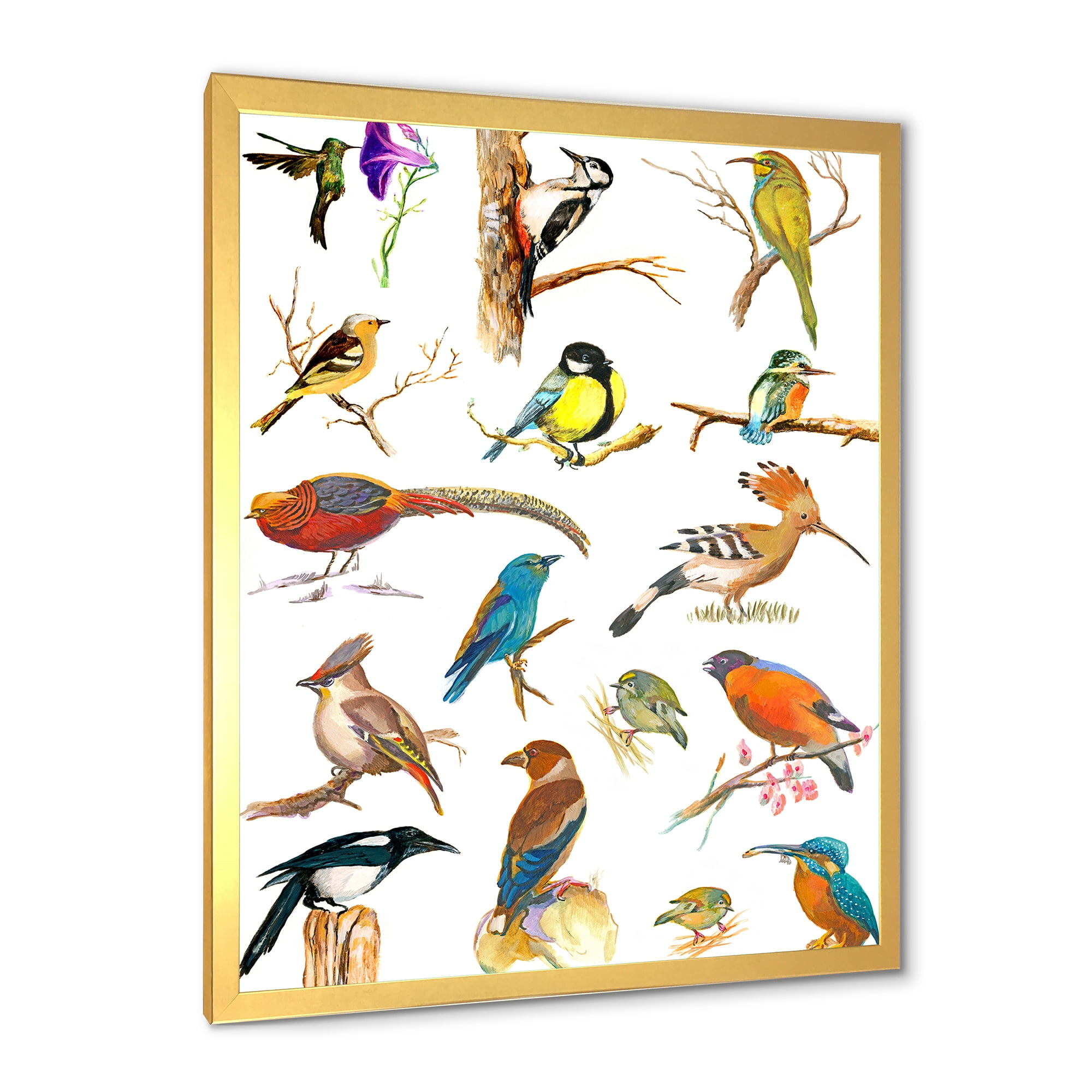 Designart 'Vital Colored Birds Plancard' Traditional Framed Art Print