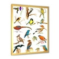 thumbnail image 2 of Designart 'Vital Colored Birds Plancard' Traditional Framed Art Print, 2 of 4