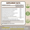 thumbnail image 4 of Healblend Mushroom Plus+ Powder 2000mg - 10 Organic Mushrooms for Brain, Immune & Stress Support - Adaptogenic Supplement - 60-Day Supply (2 Pack), 4 of 9