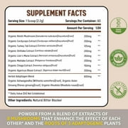 Healblend Mushroom Plus+ Powder 2000mg - 10 Organic Mushrooms for Brain, Immune & Stress Support - Adaptogenic Supplement - 60-Day Supply