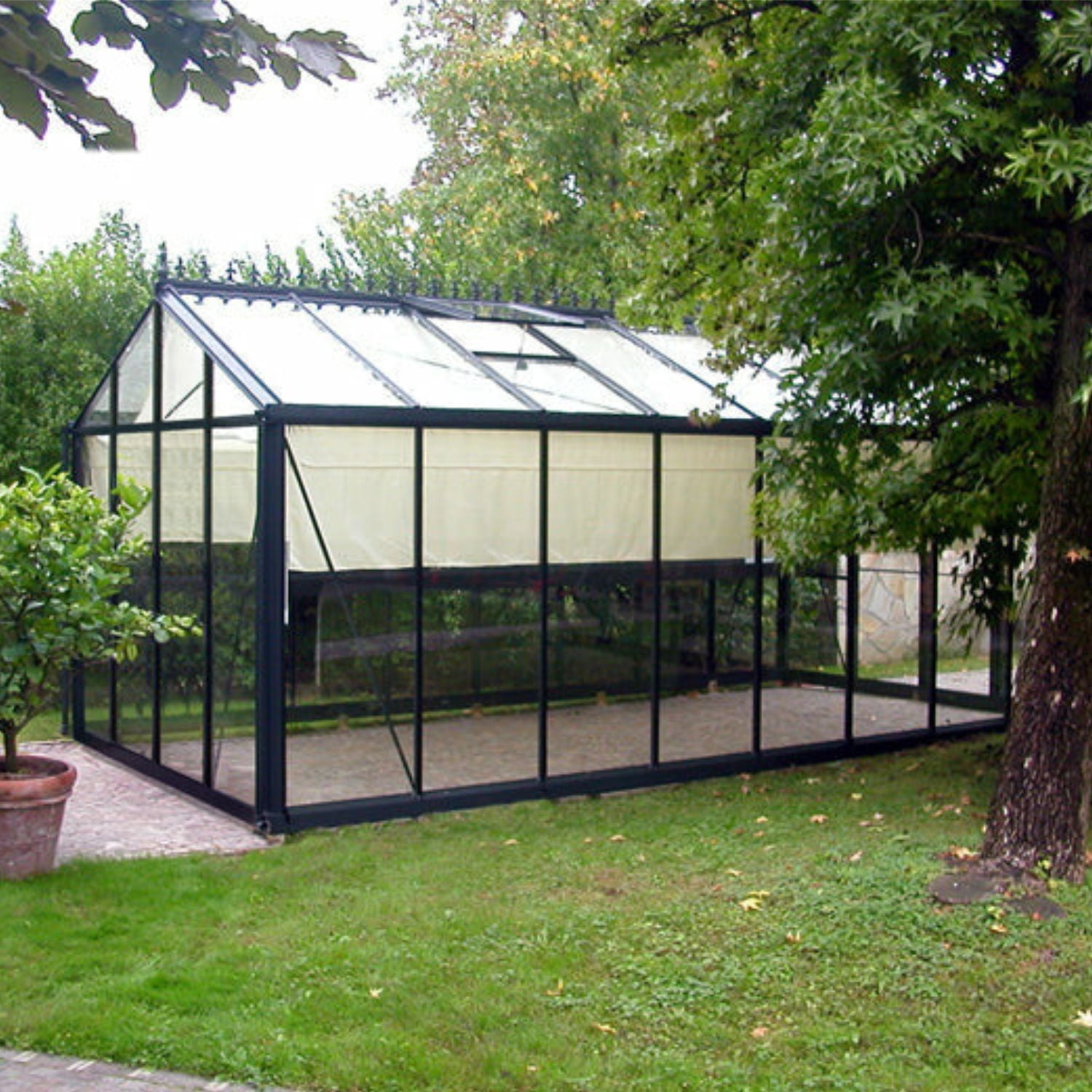 Exaco Royal Victorian VI 36 Black Glass Greenhouse