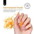 thumbnail image 3 of Set de esmaltes de uñas Beetles Hotel California Collection, 6 colores, 3 of 7