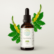 HerbEra Agrimony Tincture, Herbal Dietary Supplement for Digestive and Cleansing Support, Agrimony (Agrimonia eupatoria) Dried Herb Extract, Natural, Alcohol Tincture, Drops 2 oz