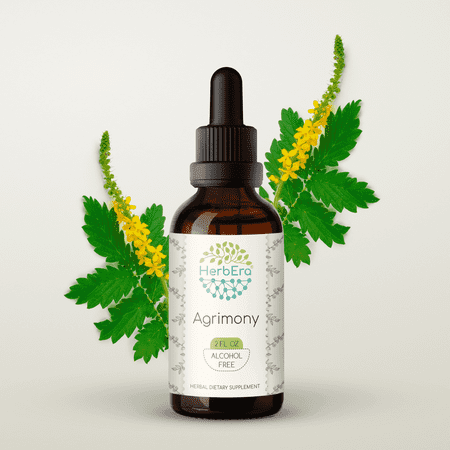 HerbEra Agrimony Tincture, Herbal Dietary Supplement for Digestive and Cleansing Support, Agrimony (Agrimonia eupatoria) Dried Herb Extract, Natural, Alcohol Tincture, Drops 2 oz