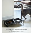 thumbnail image 4 of Yamazaki Home  Pet Food Bowls - Two Styles, Steel and Ceramic, Short, 1.25 cups, 300 milliliters per bowl Black, 4 of 7