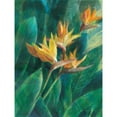 thumbnail image 3 of Nai, Danhui 19x24 Black Modern Framed Museum Art Print Titled - Bird of Paradise I, 3 of 5