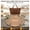 Brown-BW, variant on Foldable Expandable Travel Duffel Bag Waterproof Extra Large Capacity Lightweight Collapsible Tote Luggage Organizer Weekend Trip