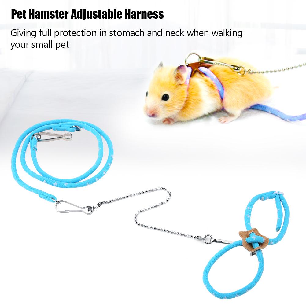 Diy Rat Harness Diy Halloween Costume Ideas For Your Pet / A rat harness is a cord or a strap