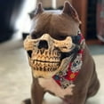 thumbnail image 5 of BKER Realistic For Small & Medium Dogs Gothic Pet Costume Accessory Perfect Parties & Photo Shoots Unique For Dog Lovers, 5 of 5
