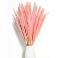 thumbnail image 3 of Fluffy Pampas Grass Dried 15 piezas - Flores secas - Natural, sostenible y fácil de limpiar - Decoración elegante Xemadio MZQ-0839-2, 3 of 8