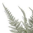 thumbnail image 4 of Bouclair Artificial Fern in Pot, 4 of 4