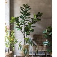 thumbnail image 4 of Artificial Tree Fiddle Leaf Tree, 4 of 14