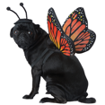 thumbnail image 1 of Monarch Butterfly Pet, 1 of 1