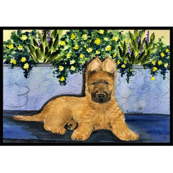 18 x 27 in. Briard Indoor Outdoor Doormat