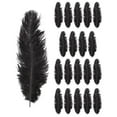 thumbnail image 3 of 20 X Natural Ostrich 25-30 Cm Black Party Decoration, 3 of 5