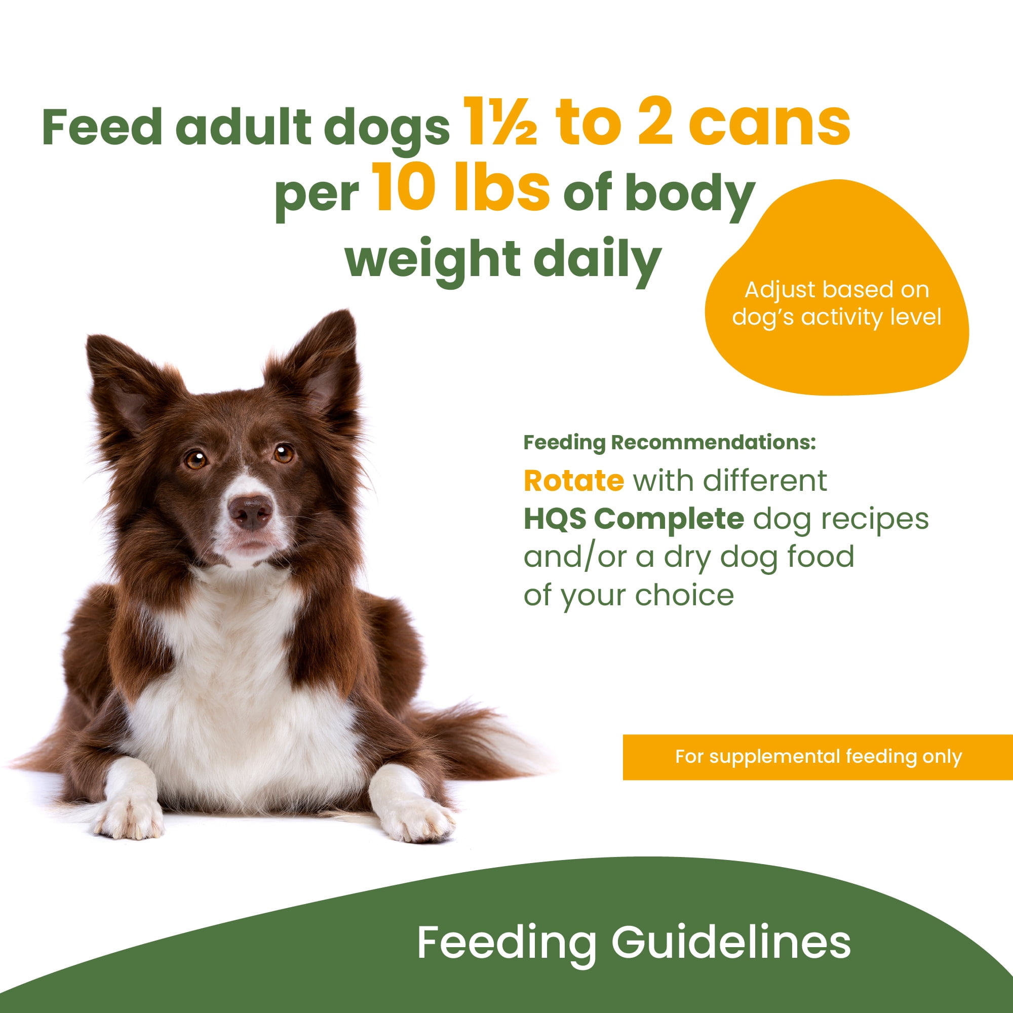 Almo Nature: HQS Natural Dog 12 Pack: Tuna Fillet In Broth Entrée - 9.87oz Cans, Supplemental Dog Canned Wet Food, Limited Ingredient