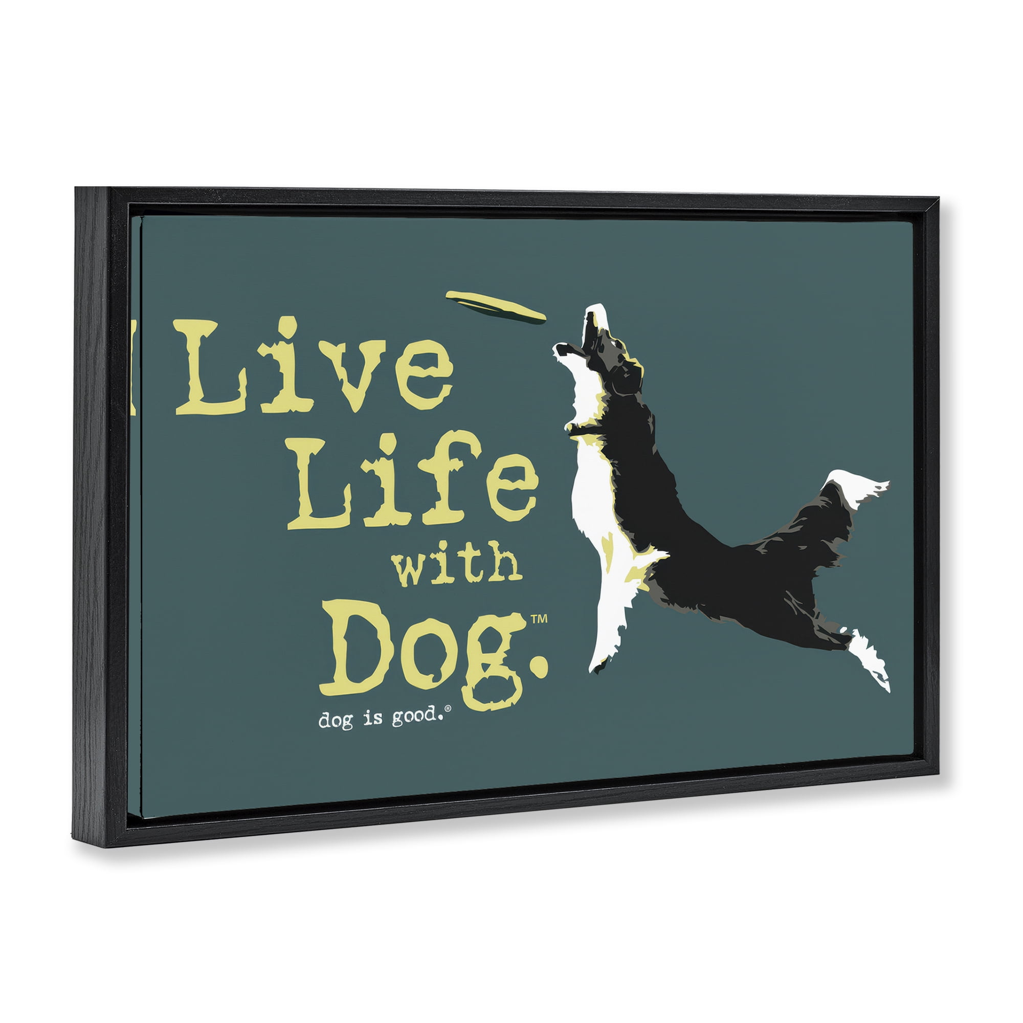 Stupell Industries Dog Playing Fetch Phrase Animals Painting Black Floater Framed Canvas Art Print Wall Art, 31 x 21