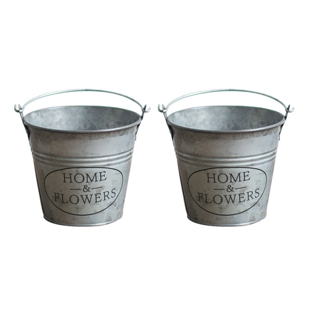 2 cubos de hierro vintage para flores, contenedor para plantar, adorno para el hogar