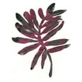 thumbnail image 2 of Vess, June Erica 15x18 White Modern Wood Framed Museum Art Print Titled - Foliage Fossil III, 2 of 4