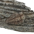 thumbnail image 3 of RENACLIPY Resin Trilobite Decor Grey Paleontological Specimen Ornament for Collection and Home Display, 3 of 6