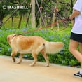 thumbnail image 3 of MASBRILL Dog Leash for Medium Large Dogs with Comfortable Padded Handle and Reflective Dog Leash  5 FT Heavy Duty Red, 3 of 8