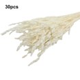 thumbnail image 3 of Ramo seco de caña de Flores secas Inteprter exquisita decoración de fiesta plantas Flores artificiales 30 Piezas, 3 of 6