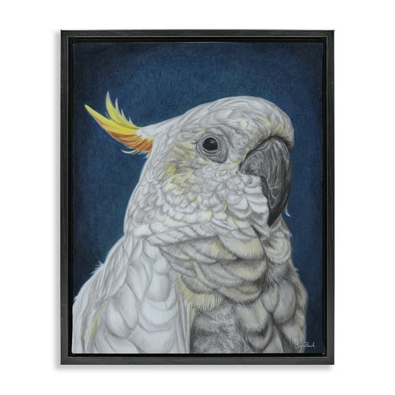 Stupell Industries Traditional Cockatoo Visage Animals & Insects Painting Black Floater Framed Canvas Art Print Wall Art, 17 x 21