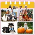 thumbnail image 4 of 20 Pcs Dog Bow Ties with Adjustable Collar Puppy Neckties Cat Bow Tie Pet Dog Bowtie Collar Dog Bows Grooming Puppy Neckties Cat Collars Pet Grooming Accessories (Assorted Color), 4 of 9