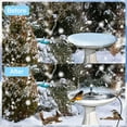 thumbnail image 4 of Bird Bath Heater with Fountain Pump 70W Black, Heated Bird Baths for Outdoor in Winter, with Thermostatically Controlled and 3.3ft Cord, Birdbath Deicer,Heated Bird Bath for Garden Birdbath, 4 of 9