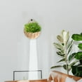 thumbnail image 1 of OULII 2Ud Cesta Colgante De Pared En Ratán Beige Para Con Plantas Artificiales, 1 of 6