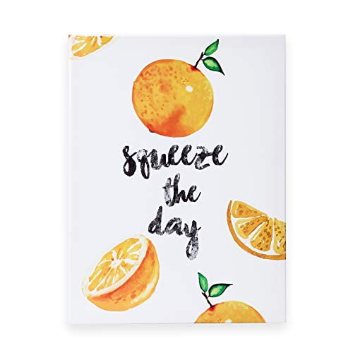 Outshine 12 X 16 Orange Wall Art Squeeze The Day Positive Quotes Walmart Com Walmart Com