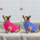 thumbnail image 5 of FloreceBien Chaleco polar elástico para perro, suéter para perro, jersey cálido, chaqueta de forro polar para perro con anillo de correa, chaqueta para cachorro, cálida y suave, 5 of 5