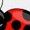 AA-White, variant on Inktastic My Nana Loves Me with Cute Ladybugs Girls Toddler Dress