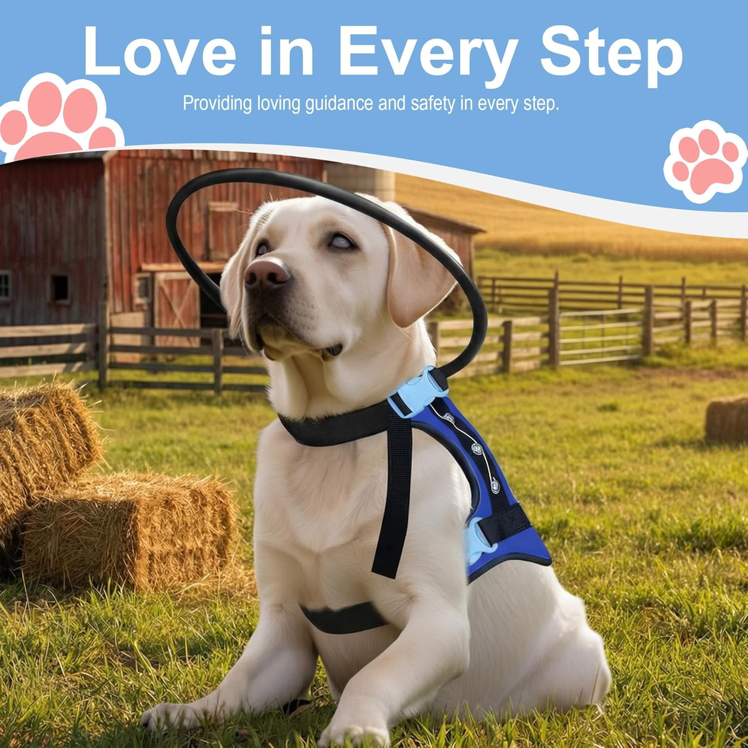 Adjustable Blind Dog Halo Harness with Protective Ring, Guiding Aid for Visually Impaired Pets, 8.5–12.5 in