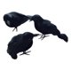 thumbnail image 5 of 3 cuervos de Halloween, pájaros con plumas negras, accesorios decorativos artificiales para cercas, árboles, exteriores, interiores y terrazas., 5 of 8