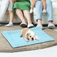thumbnail image 6 of PureCasa Polyester Dog Cat Bed Cushion, Washable Non-Slip Pet Bed Plush Kennel for Fall Winter, Household Large Comfortable Warm Sleeping Pads, Rectangle, 1 Pack, 20"x14"x1.6", Light Blue, 6 of 7
