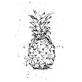 thumbnail image 3 of Harper, Ethan 11x14 Black Modern Framed Museum Art Print Titled - Pineapple Ink Study I, 3 of 5
