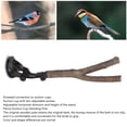 thumbnail image 3 of Non Slip Textured Wooden  Perch With Suction Cups - Training And Interactive, Prevent Slip, Easy To Install - Ideal For Small Medium Birds, 3 of 8