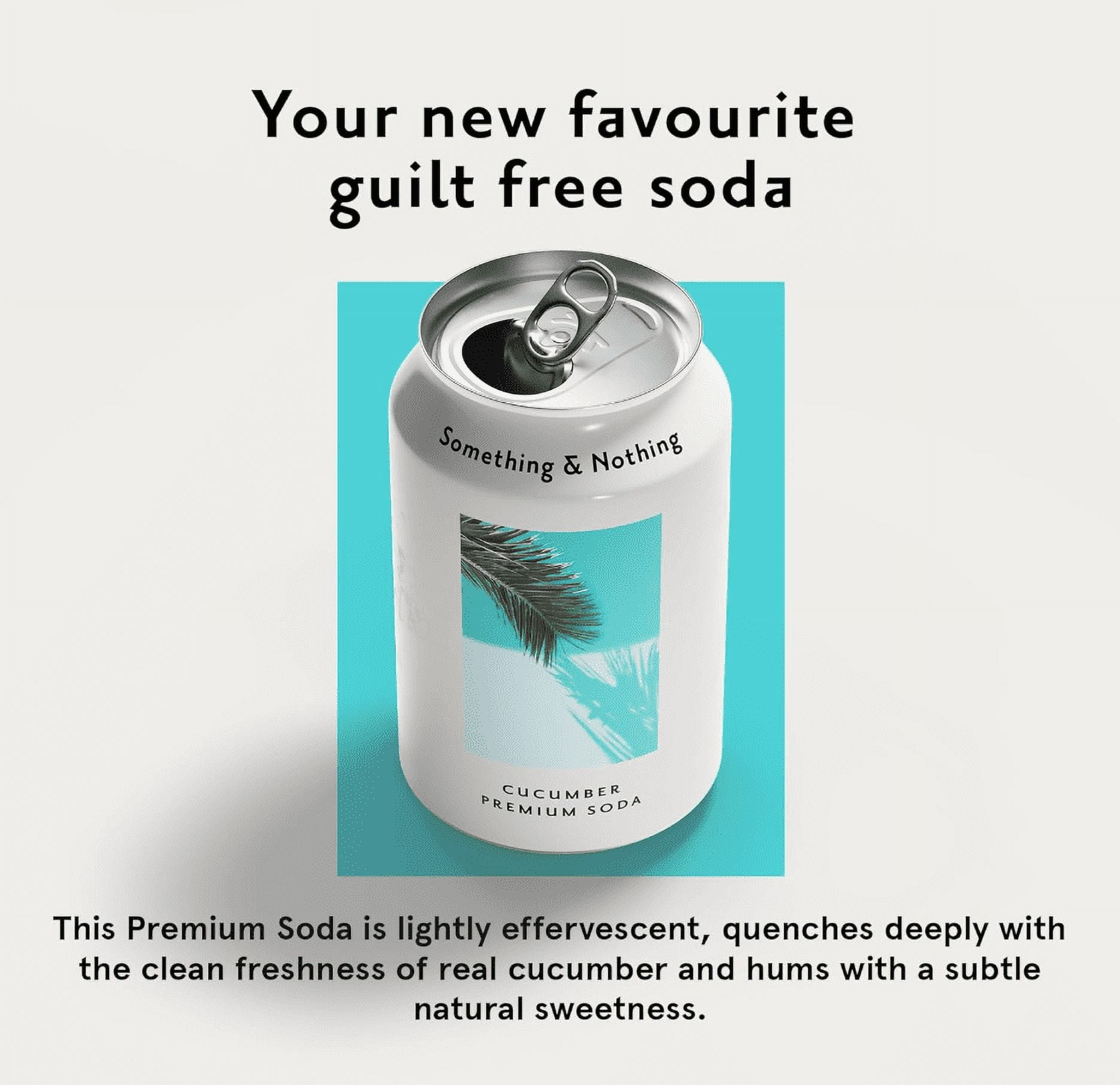 Something & Nothing Lightly Carbonated Cucumber Premium Soda Case of 12 x 12 Fl Oz