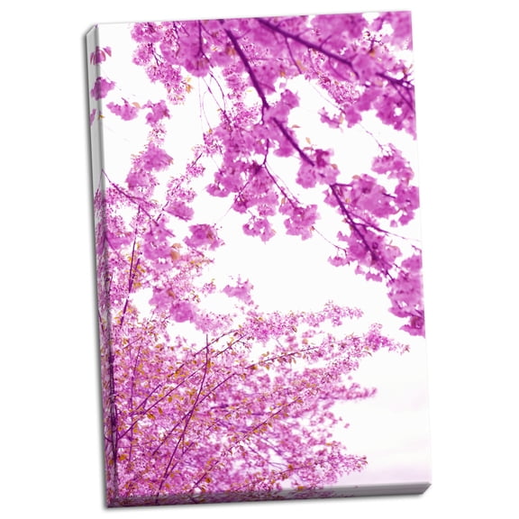 Gango Home Decor Bright Blooms I by Karyn Millet (Ready to Hang); One 24x36in Hand-Stretched Canvas