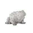 thumbnail image 3 of Urban Trends Cement Eastern  Rainfrog, 3 of 4