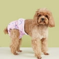 thumbnail image 3 of Guiexla Pet Menstrual Pants Female Dog Diapers Sanitary Panties Physiological Shorts Rainbow Prints Breathable Underwear for Small Medium Dogs, 3 of 7