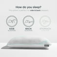 thumbnail image 4 of Tempur-Pedic Oreiller TEMPUR-Adapt ProLo + Cooling-Grand, Blanc, 4 of 5