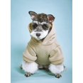thumbnail image 4 of Solid Color Pet Hoodie, 4 of 4