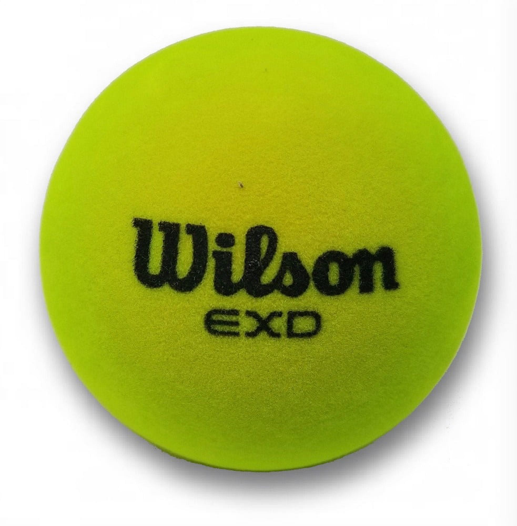 その他 EARTH BALL SPORTS TOURNAMENT 208afcc3-387c-430a-9ec0-