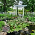 thumbnail image 7 of PondH2o Natural Stone Liner, Decorative Water Garden Koi Fish Pond Lining Real Gravel 3.3 Feet x 6.6 Feet (1m x 2m), Backyard Pond Liner Edging Pebble Border, 7 of 7