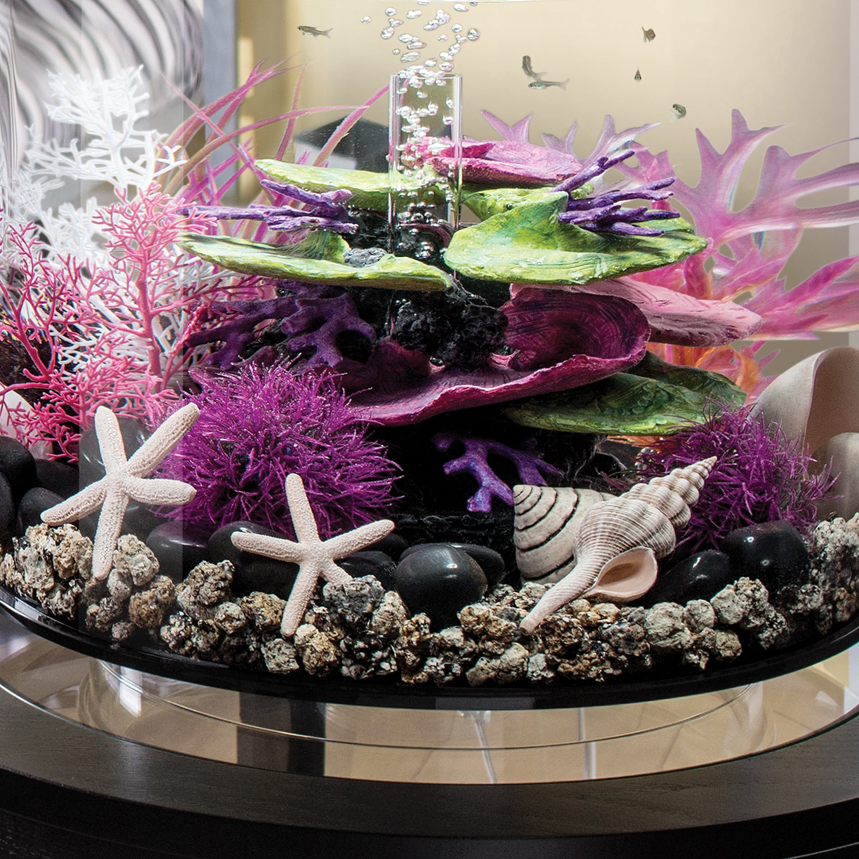 biOrb Natural Seashell Set - Aquarium Decor