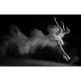 thumbnail image 3 of Kisworo, Sebastian 24x17 Black Modern Framed Museum Art Print Titled - The White Swan, 3 of 5