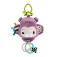 thumbnail image 1 of Fisher-Price – Singe Violet à emporter, jouet pour poussettes, 1 of 6